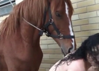 Dark-haired bombshell is getting banged by a horse